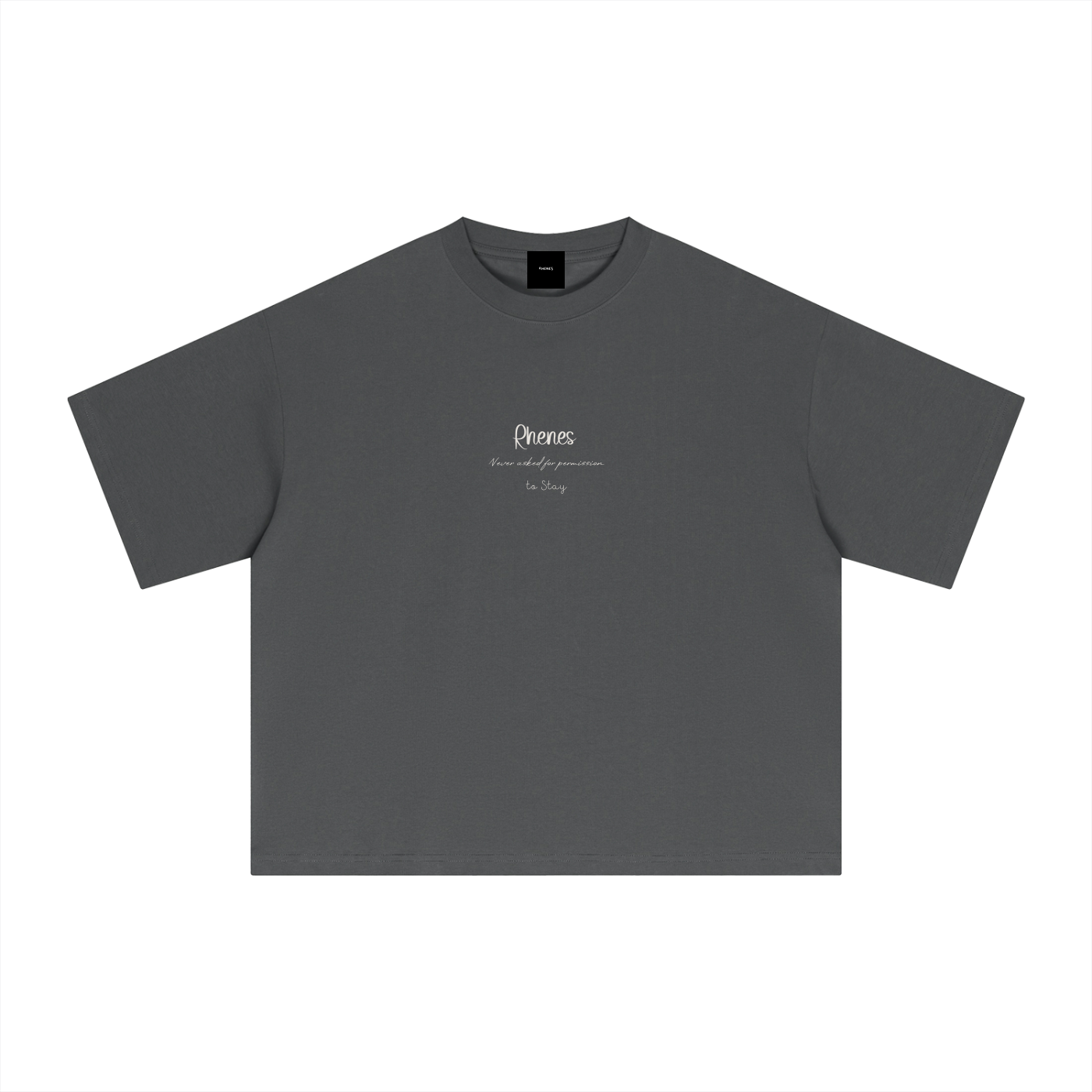 Unsaid Series Boxy T-Shirt- Rhenes Studio- Never Asked For Permission To Stay